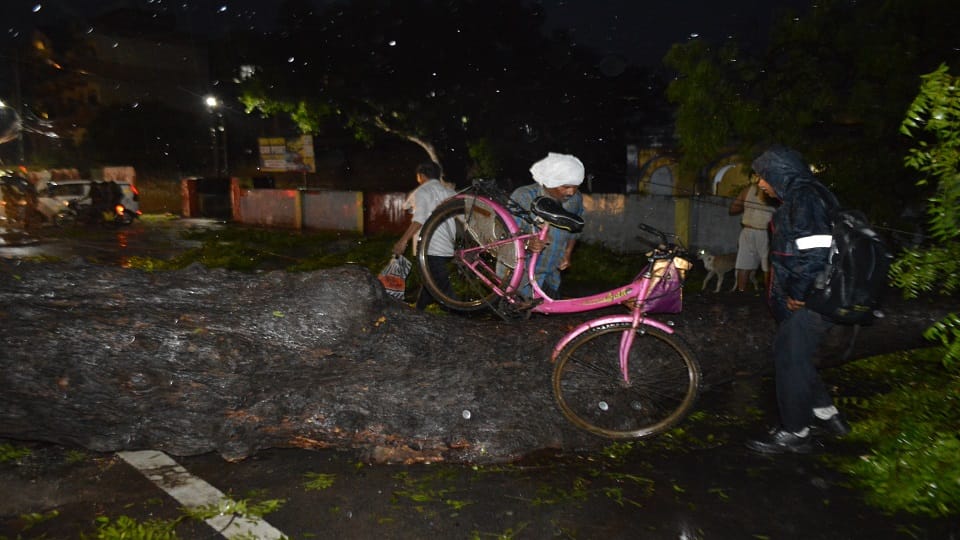 Roads of Agra were so submerged in rain two youths could not see drain get drowned