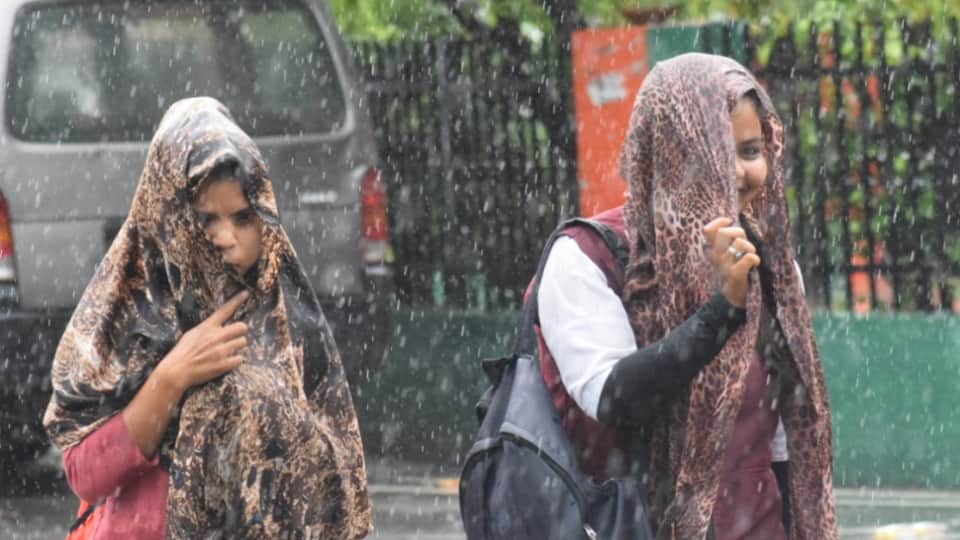 UP Weather News: Heavy rain will continue in the coming 24 hours, yellow alert issued