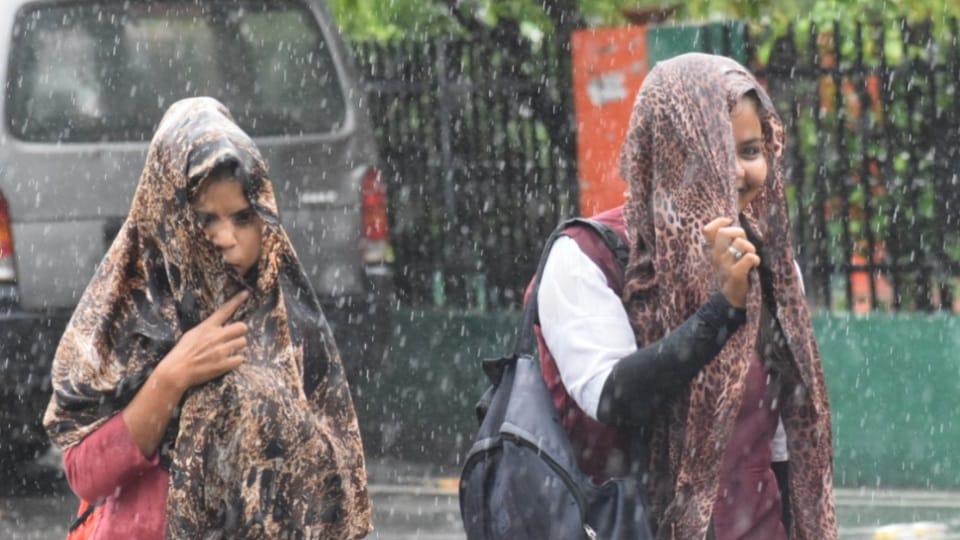UP Weather News: Heavy rain will continue in the coming 24 hours, yellow alert issued