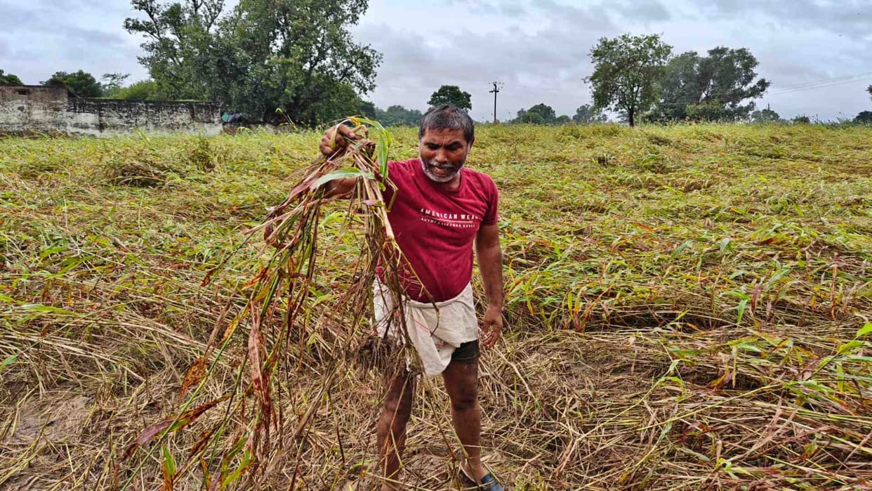 Bharatpur News: Flood like situation due to heavy rain in Bharatpur