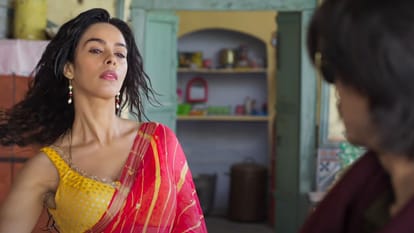 rajkummar rao triptii dimri starrer trailer of Vicky Vidya ka woh wala video match with Hollywood film