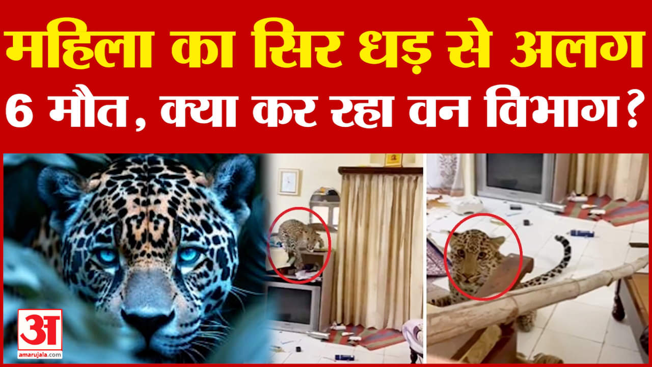 Leopard Attack : इन जिलों में तेंदुए की दहशत, अब तक 6 लोगों की मौत, सवालों के कटघरे में वन विभाग