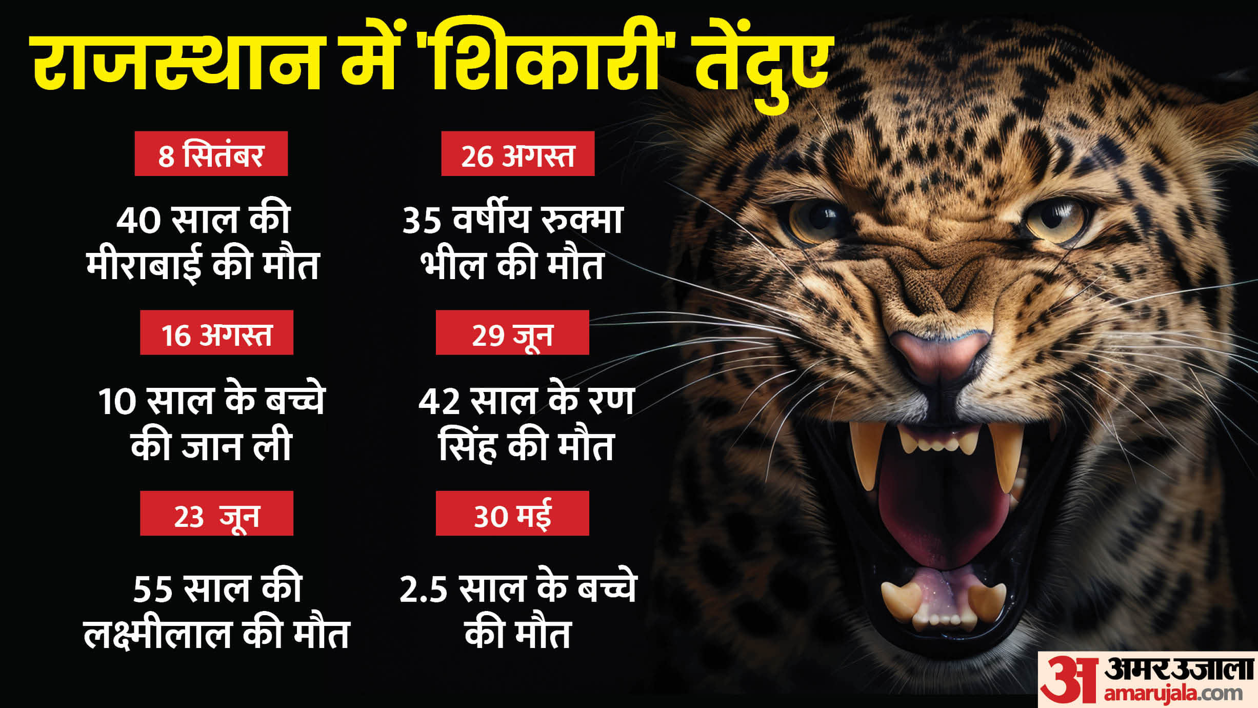 Leopard Attack on Lady in Udaipur 8 Deaths From 30 May to 8 Sept Reaction of Forest Department Know in Details
