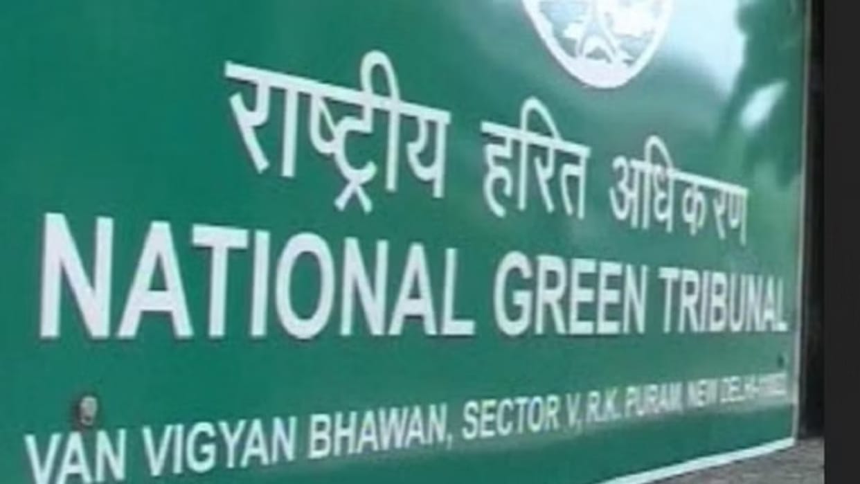 Himachal: दो सौ साल पुराने बरगद के चारों ओर निर्माण पर एनजीटी सख्त, राज्य सरकार से मांगा जवाब Himachal: NGT takes a strict stance on construction around a 200 year old banyan tree; seeks a response.