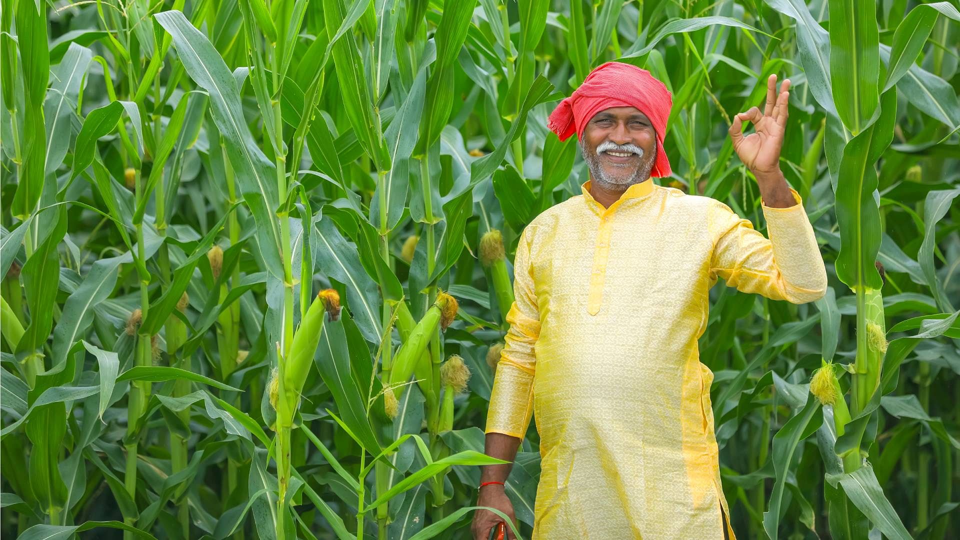 Pm Kisan Samman Nidhi Yojana 18th Installment Date Announced Know How ...