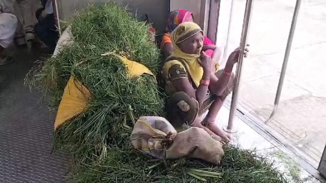 Women travel by train from Ghazipur to collect grass for animals