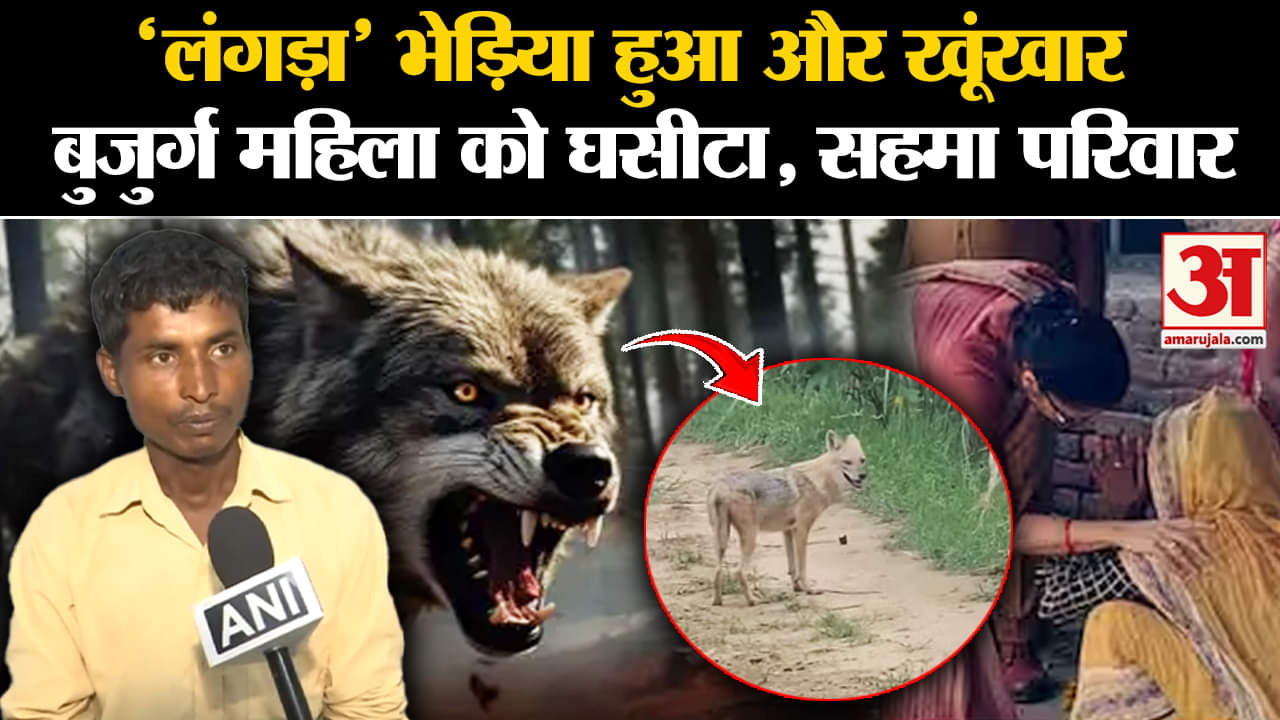 Wolf Attack: 'लंगड़ा' भेड़िया हुआ और खूंखार बुजुर्ग को महिला घसीटा, सहमा परिवार | Amar Ujala | UP |