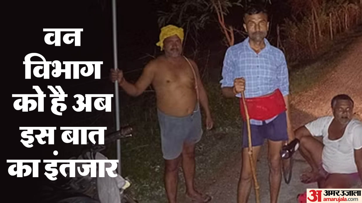 Wolf Attack Bahraich Responsibility of Responsible Persons is limited to Pradhan house only