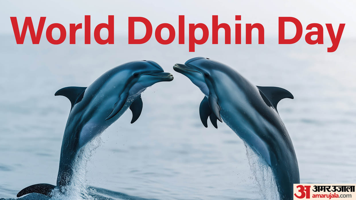 World Dolphin Day 2024 History And Significance In India Know About Gangetic Dolphins in India