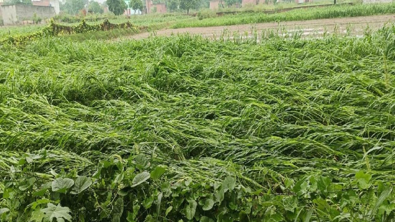 Mausam Ki Jankari Rains season continues from mountains to plains Areas 85 year old record broken in Agra