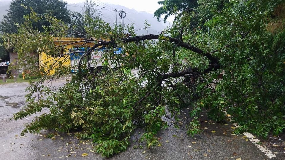 50 routes including Almora-Haldwani NH closed due to debris