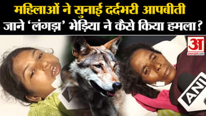 Wolf attack: Women's alleged painful ordeal, how did the 'lame' wolf attack? , Amar Ujala Above