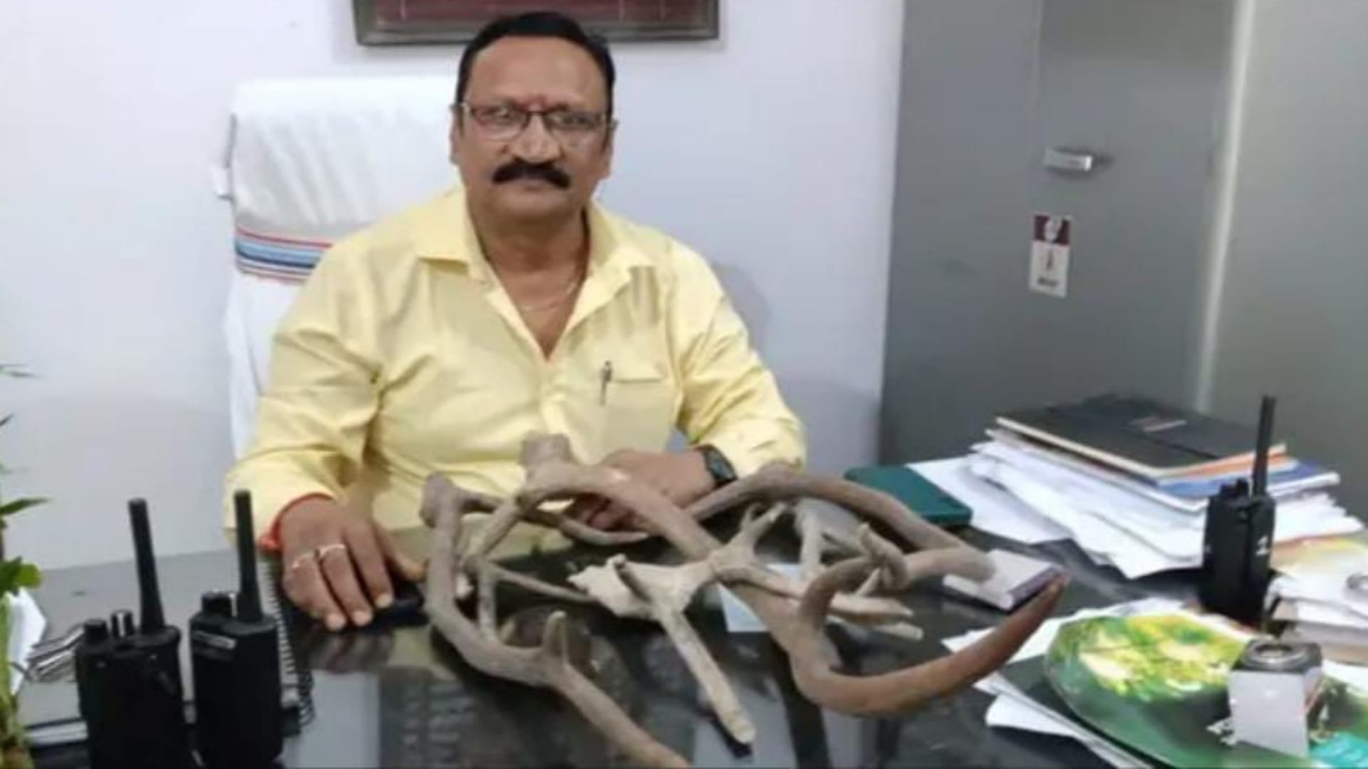 Bihar News: Tribals are hunting deer in forests of Nawada, police recovered horns