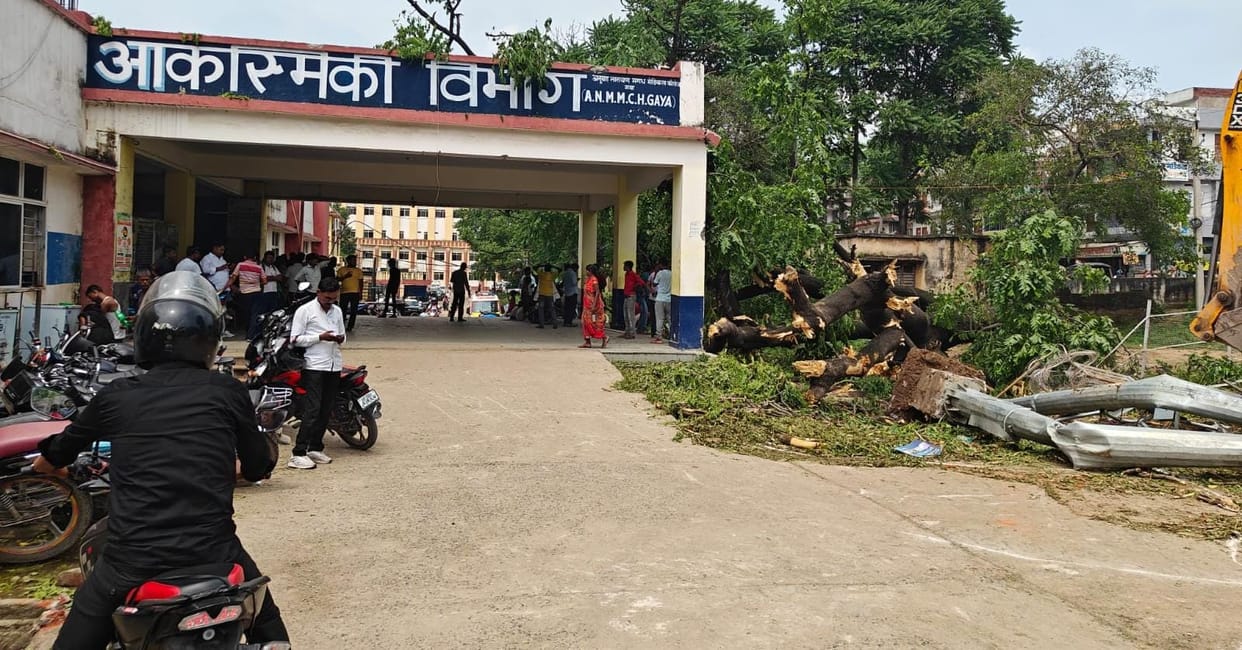 Bihar: A huge tree fell on the hospital premises in Gaya, a young man died; came to get my mother treated