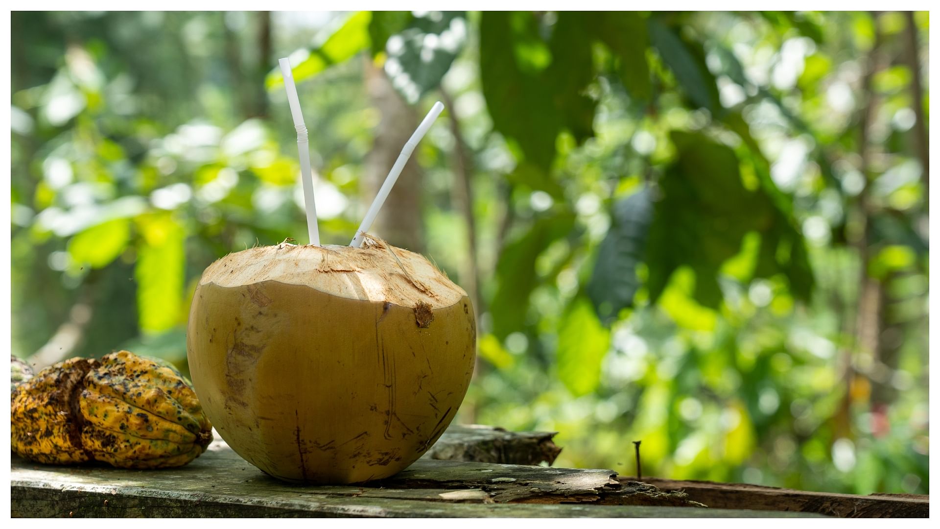 Health Benefits Of Drinking Coconut Water In Winter Nariyal Pani Peene Ke  Fayde In Hindi - Amar Ujala Hindi News Live - Coconut Water:सर्दियों में  नारियल पानी पीना चाहिए या नहीं? जानिए