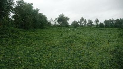 man died and 12 people injured due to heavy rain in Budaun