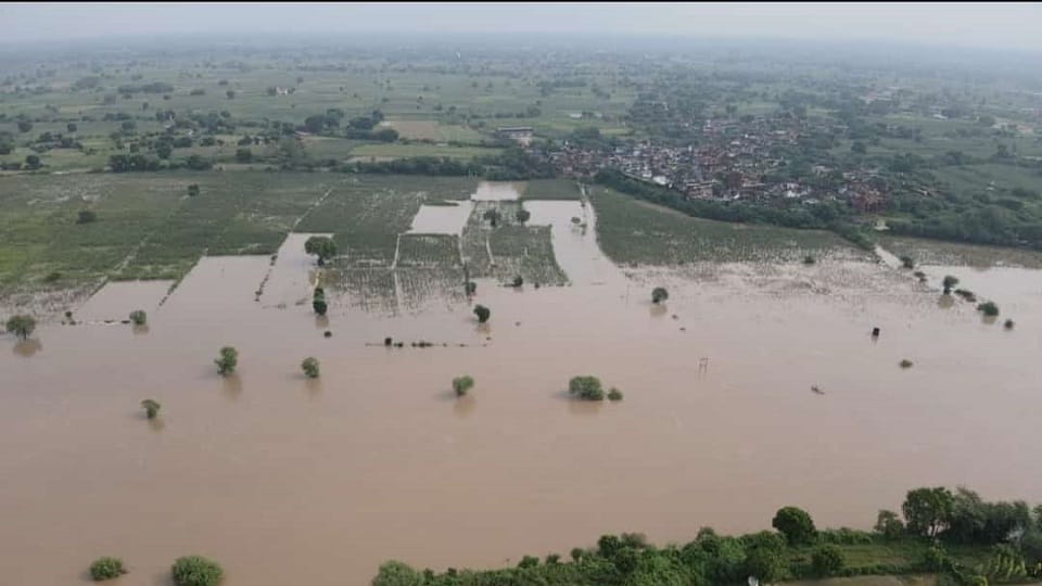 Parvati river's fierce form seen in Iradatnagar Agra 200 acres of millet crop drowned
