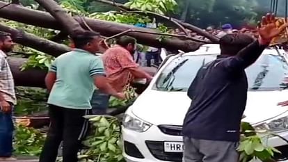 Accident in Karnal, Tree fell on sister-in-law and sister-in-law sitting in car