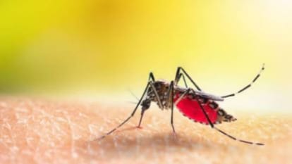 Lucknow: Dengue gained momentum, 21 patients found in 24 hours, hospital on alert, 100 beds reserved.