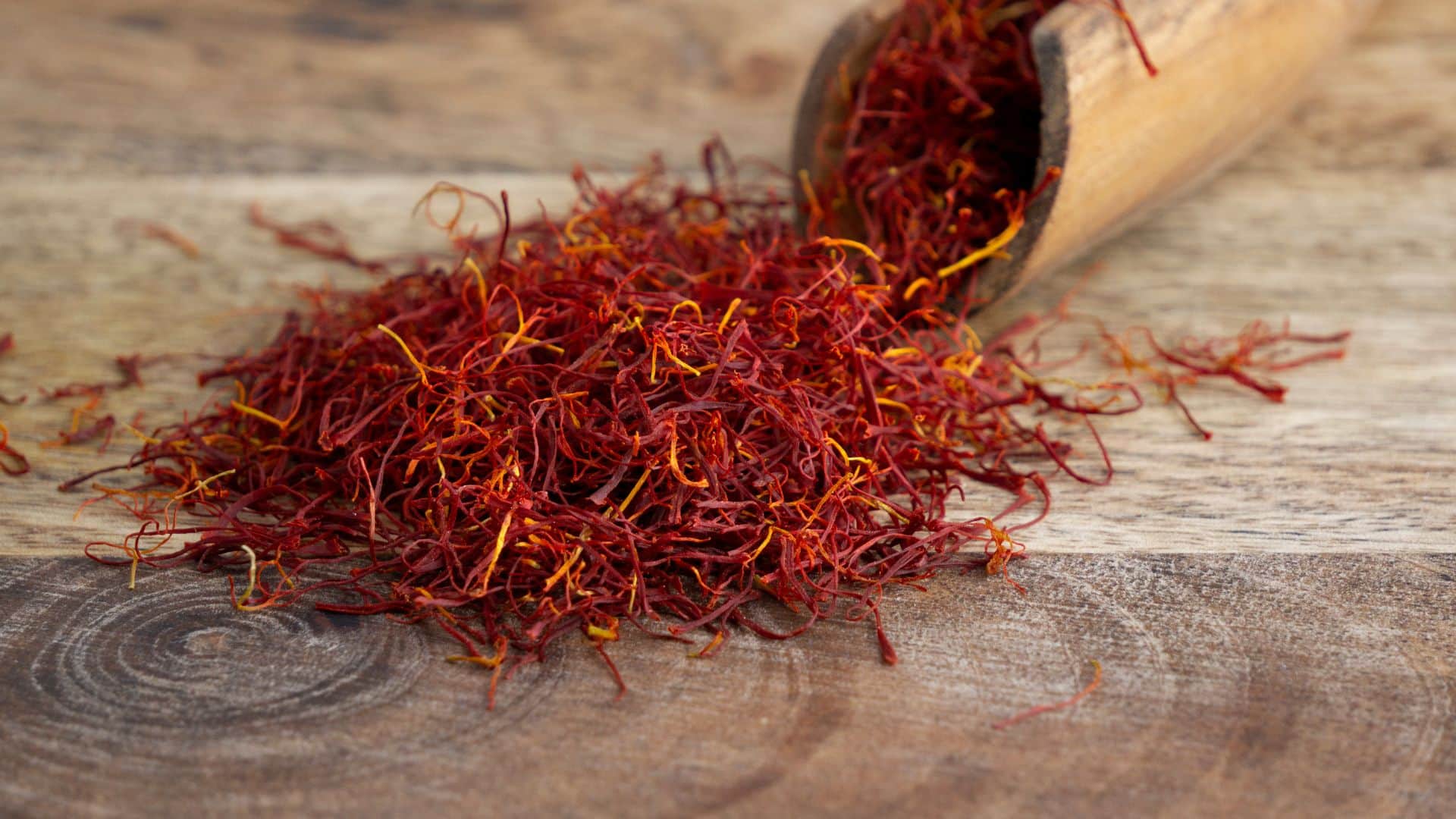 What Is Saffron kesar and Why Is It Worlds most expensive spice news in hindi