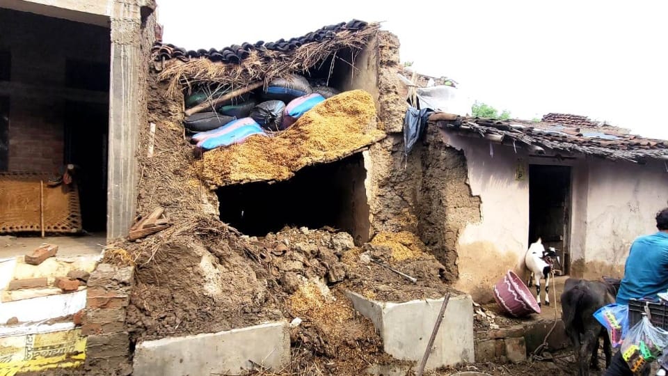 Flood in UP Dozens of villages in Hamirpur and Jalaun surrounded by water rain in up weather See Photos