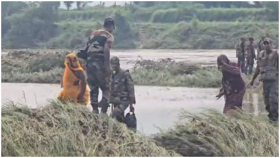 MP Flood News: Flood Situation in Chambal Gwalior Flood Rescue Operation Photos Updates