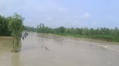 Flood situation in Mirganj and Baheri of Bareilly
