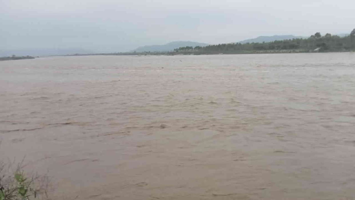 Haridwar Kumbh Increasing pollution in the Ganges Canal poses a threat to aquatic life Uttarakhand news
