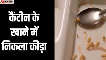 Insects found in food at IILM University canteen