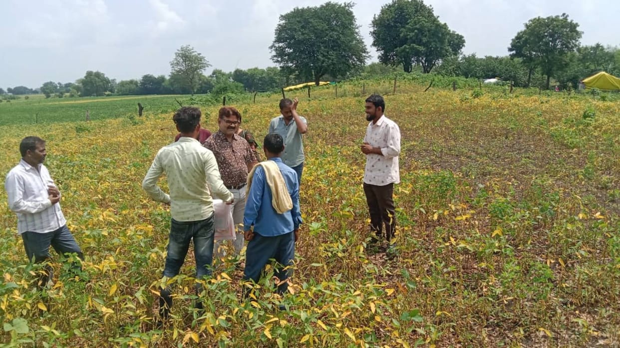 MP News Fake letter increase in soybean MSP goes viral mentions increasing support price Rs 5,789 per quintal