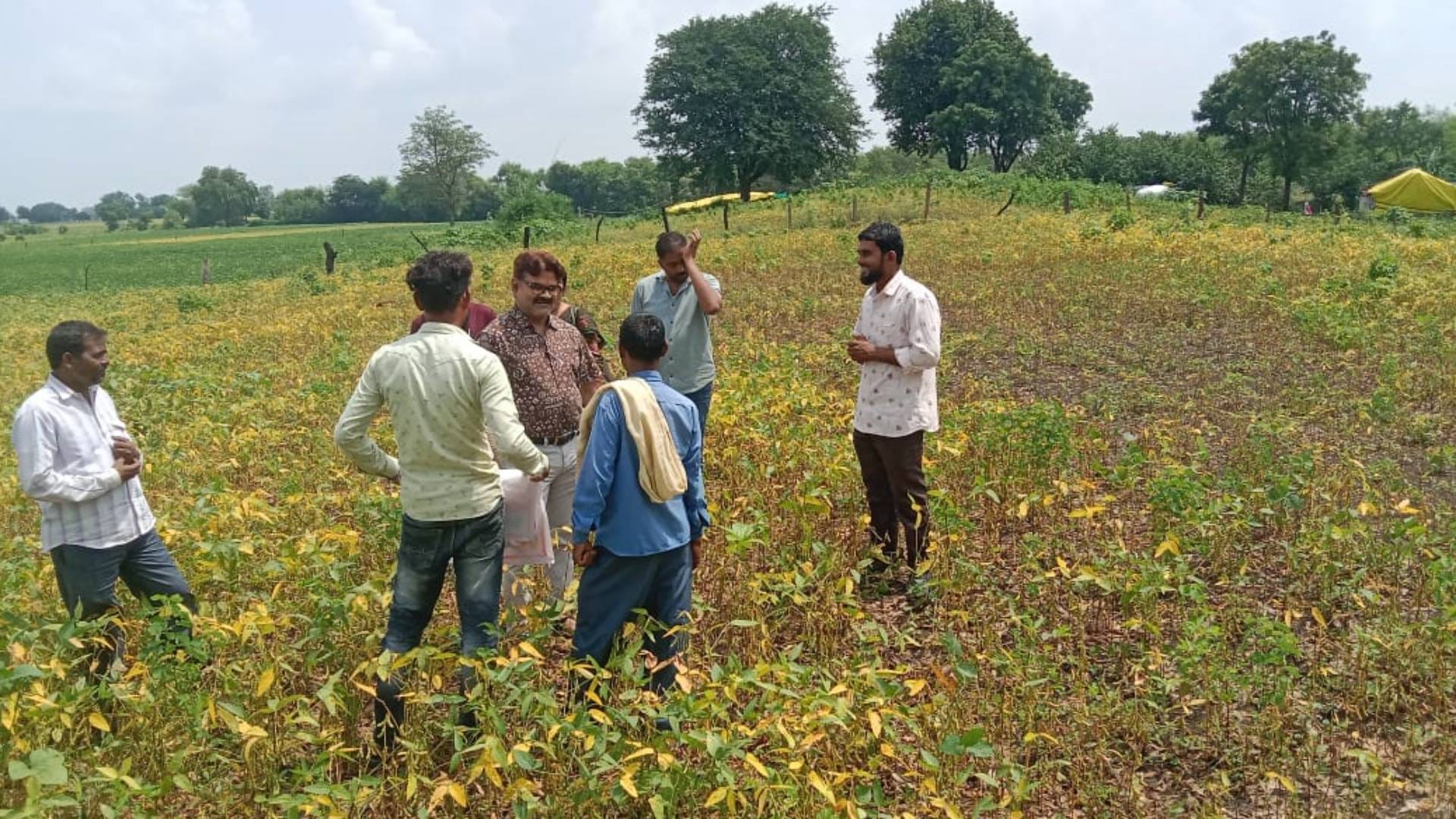 खेत में खड़े किसान