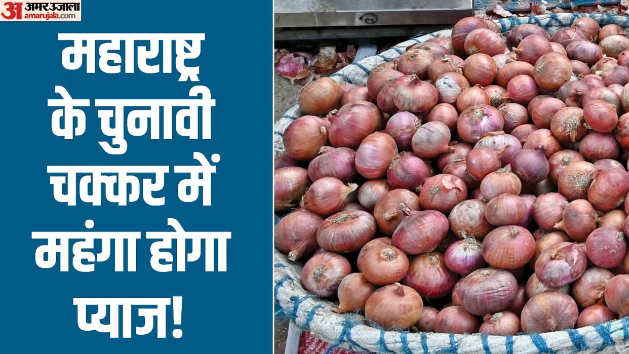 This is the reason for the increase in onion prices, central govt electoral plan for election news in hindi