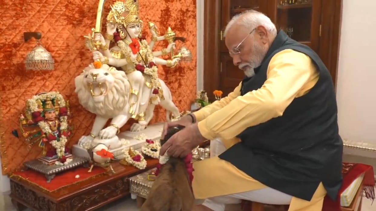 PM Modi house new member share video with cow calf deepjyoti