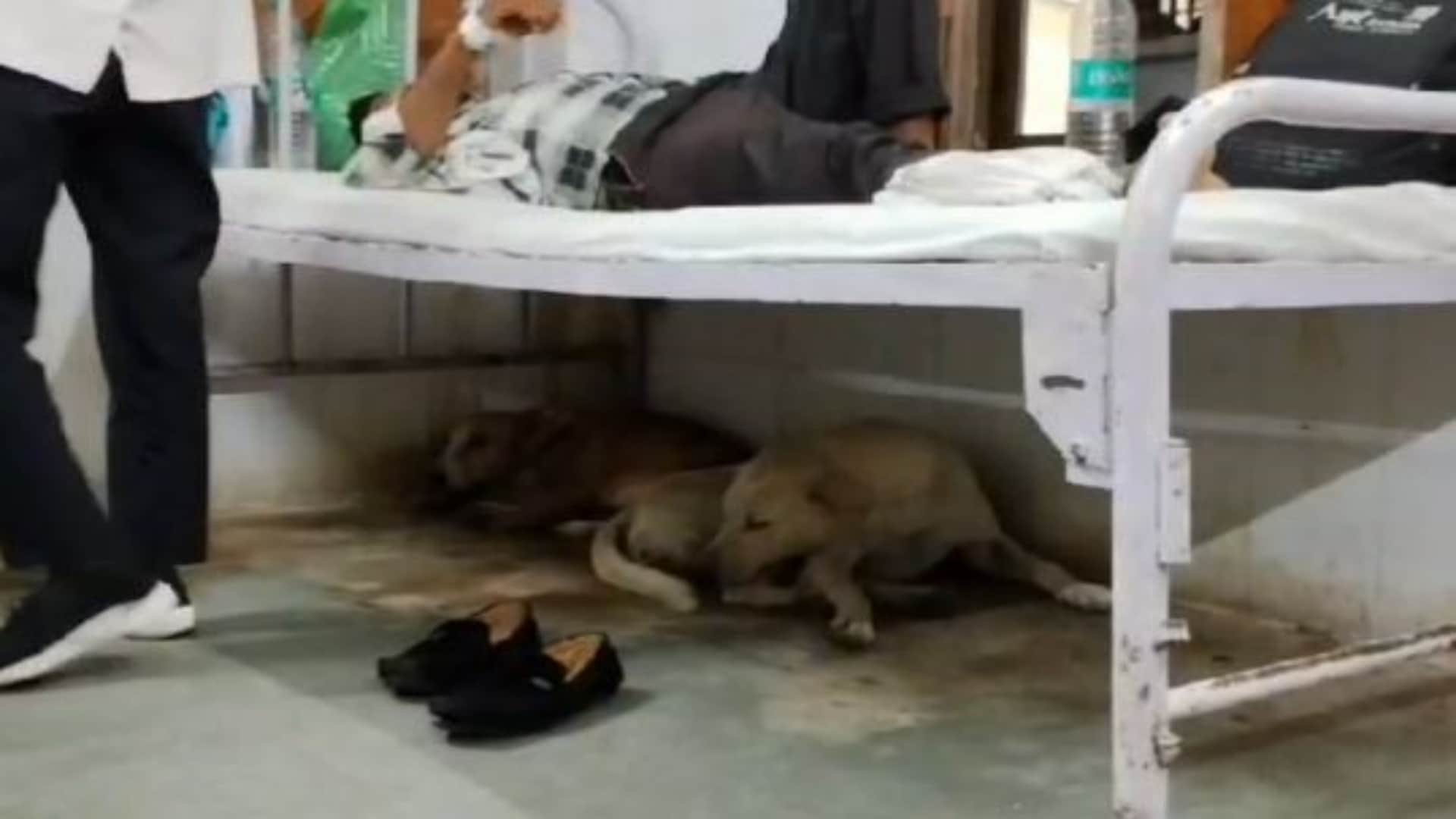 राजस्थान