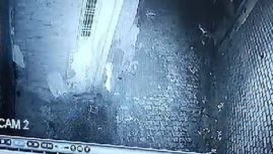 Such animal seen in CCTV on Kasganj Railway Station Road rumor of wolf spread people in panic