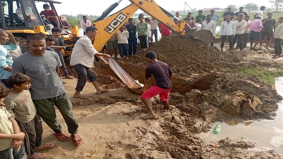 Animal remains found in Nagla Birkhu
