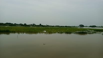 Hundreds of acres of crops submerged due to flood of Yamuna river, water flowing two and a half meters above t