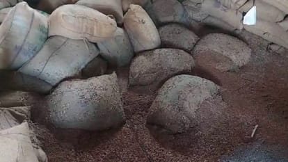 Peanuts and lentils worth six crores wasted due to water filling in warehouse in Jhansi