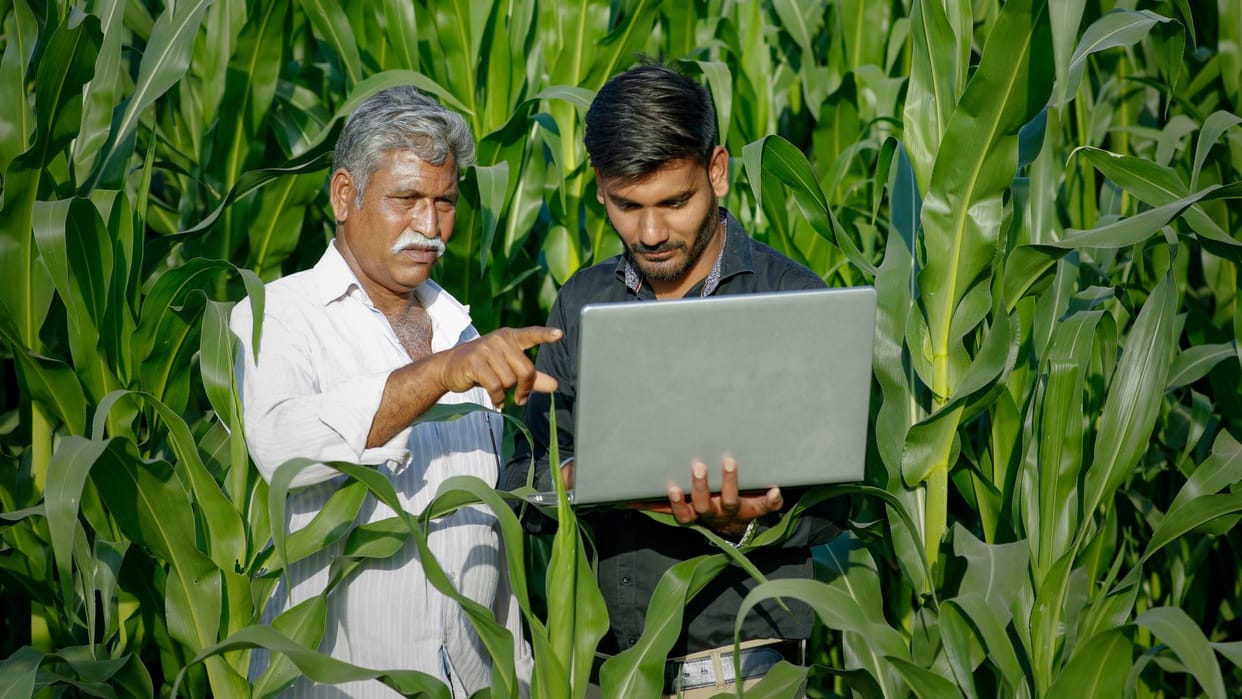 PM kisan Samman Nidhi Yojana Website Down Check Pm.kisan.gov.in Direct Link PM kisan Status Check
