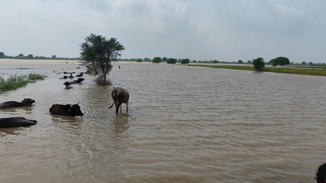 Water moving population in mirzapur three dozen houses affected communication is lost