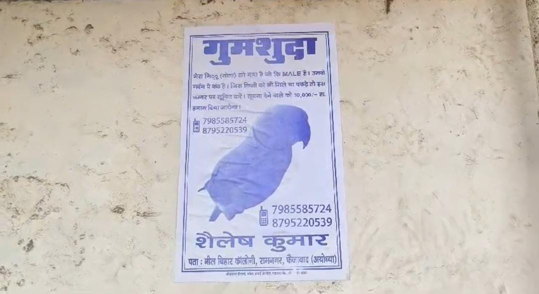 Ayodhya: Prize for searching parrot is 10 thousand Rupees.