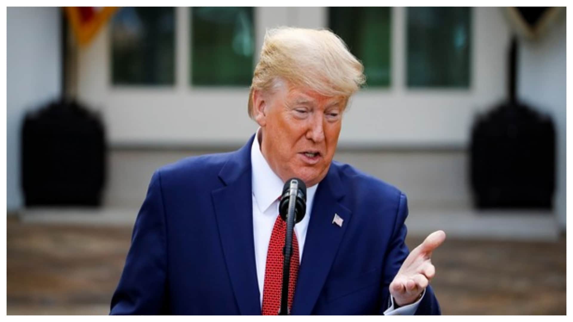 US President Donald Trump Work in Hollywood Movies Home Alone 2 The Little Rascals The Associate Celebrity