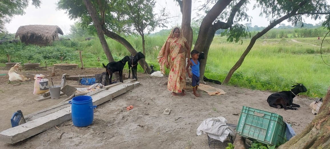 Animal killed a goat in Gonda.