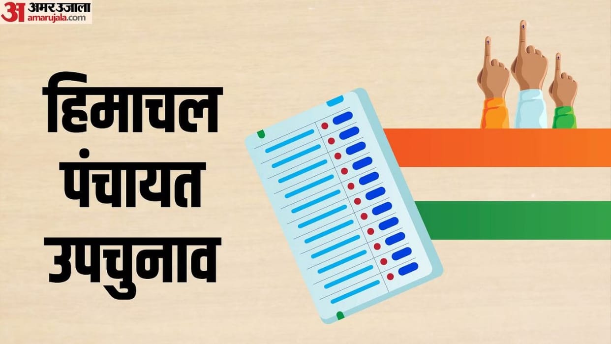 Himachal Panchayat By Election After scrutiny, 243 candidates are in the fray nomination papers of 6 cancelled