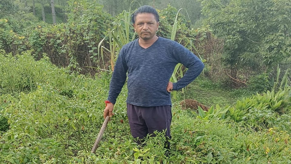 Organic vegetables opened the way for Sonu success