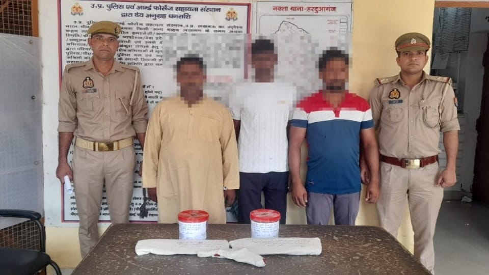 Three accused of killing protected animals arrested