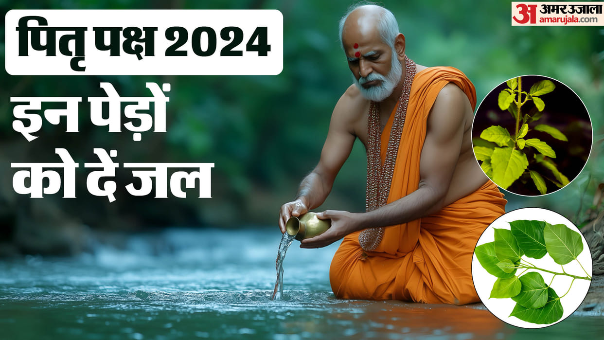 Pitru Paksha 2024 Offer jal to peepal and Tulsi on Shradh Paksha to get blessings of pitru