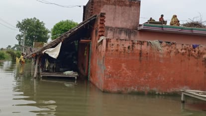 people helpless due fear of tiger amid floods in lakhimpur kheri
