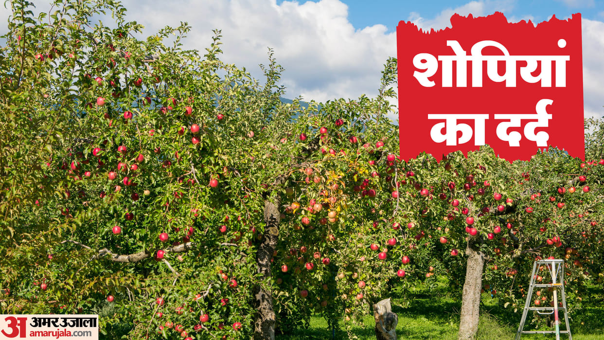 Jammu and Kashmir Election Shopian Assembly Constituency Jammu Politics Issues News in Hindi