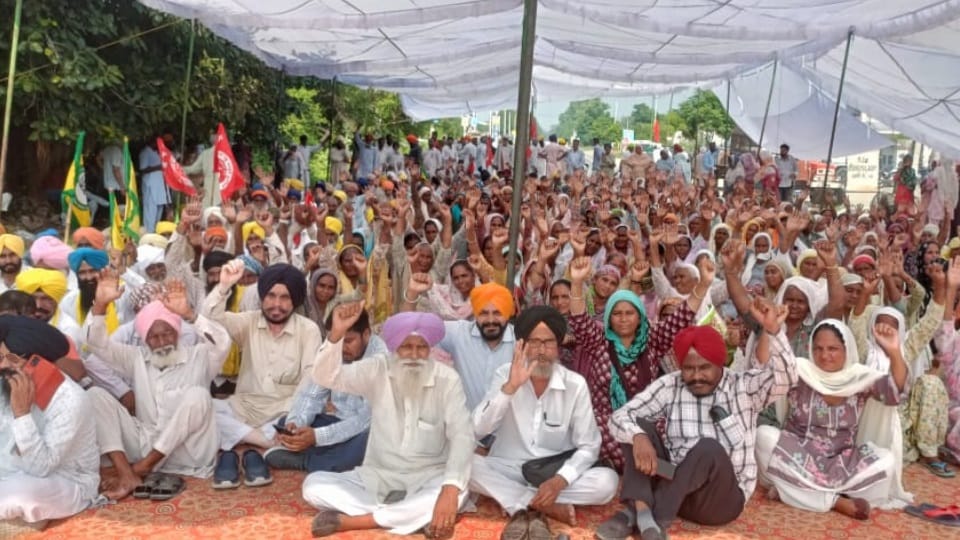 Jaam on Sunam-Patiala main road in case of death of four workers